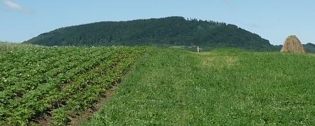 Uwaga rolnicy! Agencja Restrukturyzacji i Modernizacji Rolnictwa ostrzega Uwaga rolnicy! Agencja Restrukturyzacji i Modernizacji Rolnictwa ostrzega