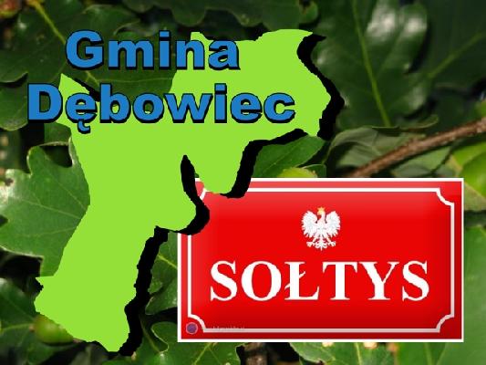 Oficjalne wyniki wyborów sołtysów z terenu gminy Dębowiec Oficjalne wyniki wyborów sołtysów z terenu gminy Dębowiec