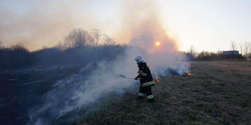 Kto podpala nieużytki w Dobryni? Kto podpala nieużytki w Dobryni?