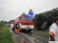 Pożar domu w Dobryni