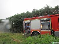 Pożar domu w Dobryni