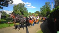 Święto Wniebowzięcia Najświętszej Marii Panny