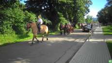 Święto Wniebowzięcia Najświętszej Marii Panny
