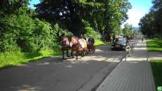 Święto Wniebowzięcia Najświętszej Marii Panny