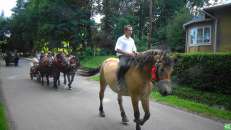 Święto Wniebowzięcia Najświętszej Marii Panny