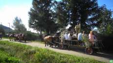 Święto Wniebowzięcia Najświętszej Marii Panny