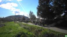 Święto Wniebowzięcia Najświętszej Marii Panny