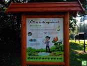 Oczekiwane ławeczki pojawiły się