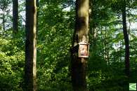 Majówka na Cieklince