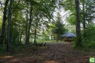 Majówka na Cieklince