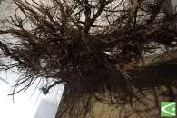 Otwarto nowe multimedialne wystawy edukacyjne w Krempnej