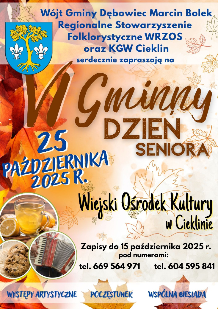 VI Gminny Dzień Seniora VI Gminny Dzień Seniora